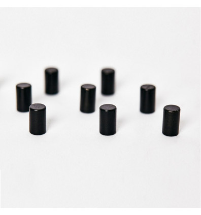 Magnet Durchmesser 6x10mm Farbe Schwarz - Set à 12 Stück