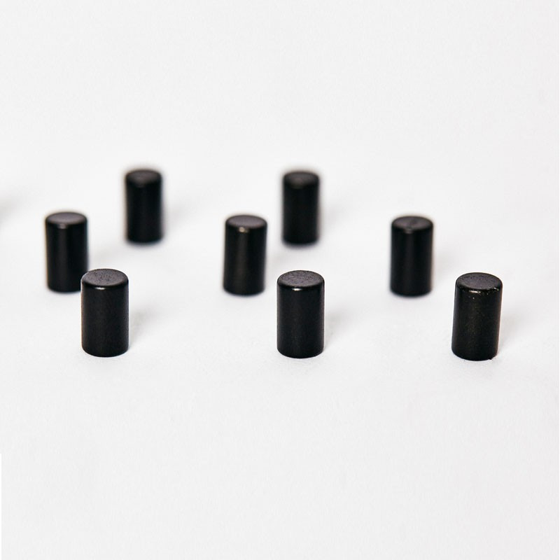 Magnet Durchmesser 6x10mm Farbe Schwarz - Set à 12 Stück